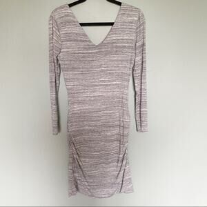 Banana Republic Synched Bodycon Long Sleeve Dress